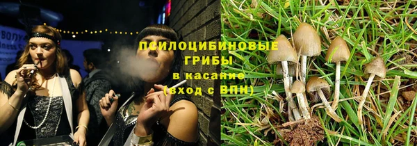 мяу мяу мука Бородино