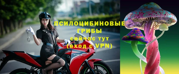 мяу мяу мука Бородино